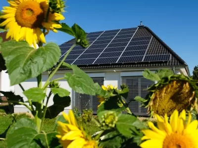 How Much Do Solar Panels Cost ?