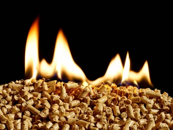 Advantages of Biomass Energy